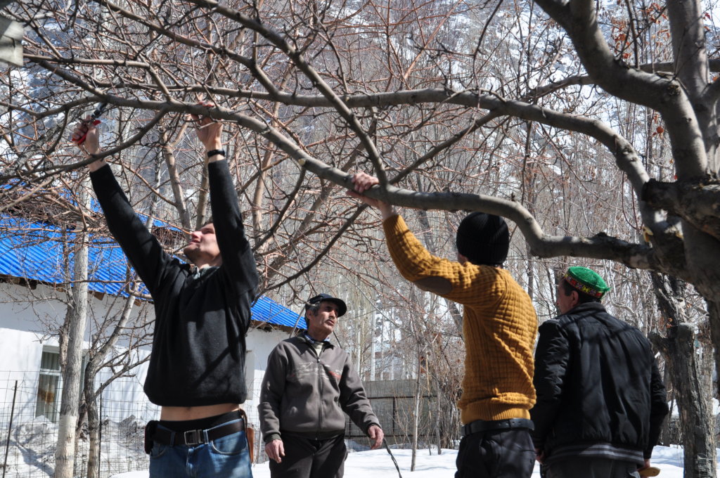 Transforming 8 Communities in the Pamirs