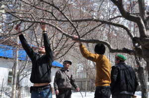 Pruning training