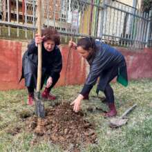 Play Oxygen in Kosovska Mitrovica an Vlasotince