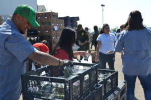 Photo from Food Bank Rio Grande Valley