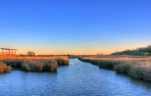 Photo: Bayou City Waterkeeper