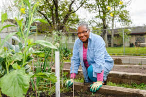 Photo from Urban Harvest