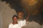 Protection of Bees in 10 Villages of D.R. Congo