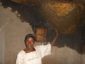 Protection of Bees in 10 Villages of D.R. Congo