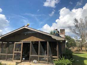 Hurricane Michael cleanup