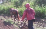 Creating Jobs for Vulnerable Rural Women