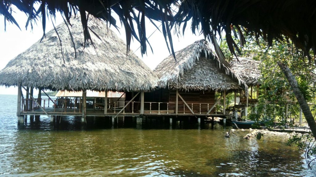 Recovery of Artisanal Fish Market after a Fire