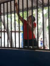 painting the new windows with anti rust paint