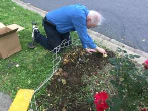 Planting bulbs in the Fall