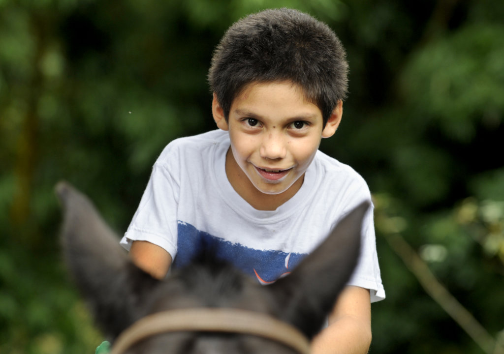 riding into the future with horse therapy