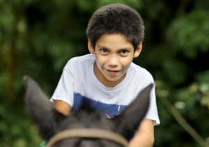 riding into the future with horse therapy
