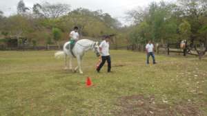 The arena for horse therapy is large