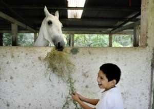 Even feeding the horses is therapy