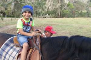 Just before lock down little boy big horse