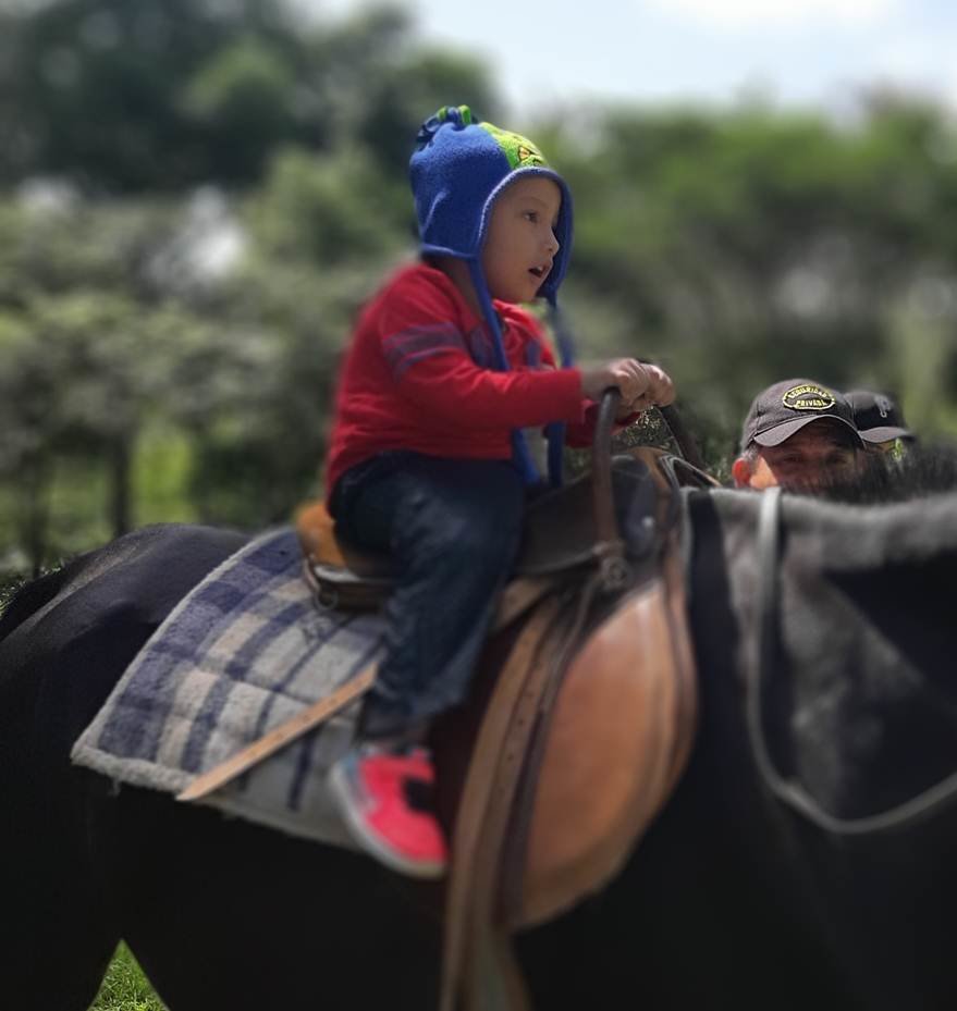 small child riding a big horse without fear
