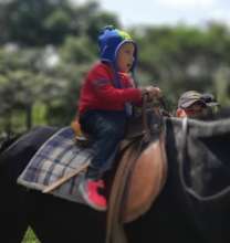 small child riding a big horse without fear