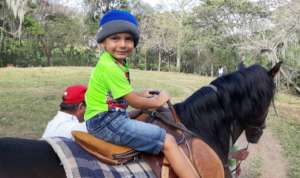horse therapy before quarentine looking back