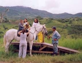 Riding High on the Platform