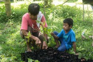 Community members prepare seedlings for planting