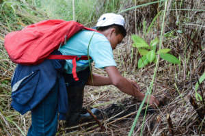 Volunteers helping restore the Philippine forests