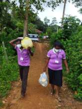 Project team delivering