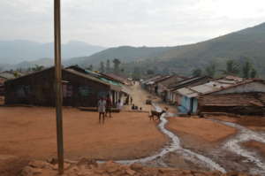 View of the Project Village