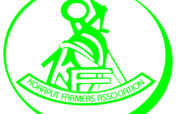 Agro- Forestry Livelihoods for 500 Tribal family