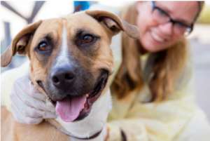 Bella reunited with her family