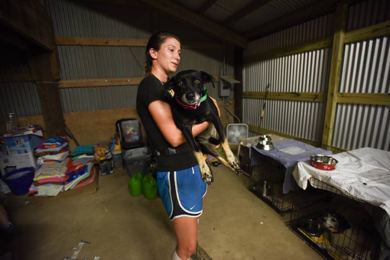 Helping the animals affected Hurricane Harvey