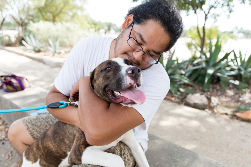 Helping the animals affected Hurricane Harvey