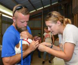 newly rescued dog receiving medical care