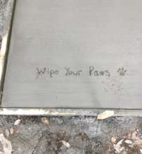 Amelia leaves a message in the new concrete