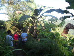 Site visit for demo farm for Green Valley