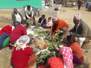 Biopesticides preparation against insect pest