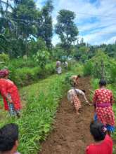 Establishment of Nursery for Growing Vegetables