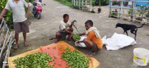 Beneficiaries Growing Vegetables