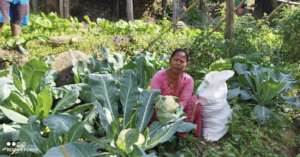 Vegetable selling by Victims