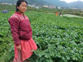 Cultivation off season vegetables by women