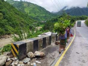 Carrying Fruit saplings on backbone to reach hills