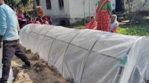 Nursery bed preparation for income