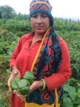 Powered by women for growing vegetable