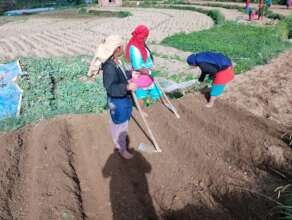 Preparation for nursery bed