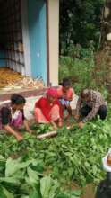 Preparation of domestic pesticides locally