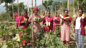 Ready to market for income generation