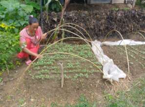 Vegetable nursery bed preparation
