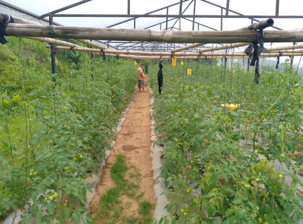 Minimize indoor smoke pollution for women health