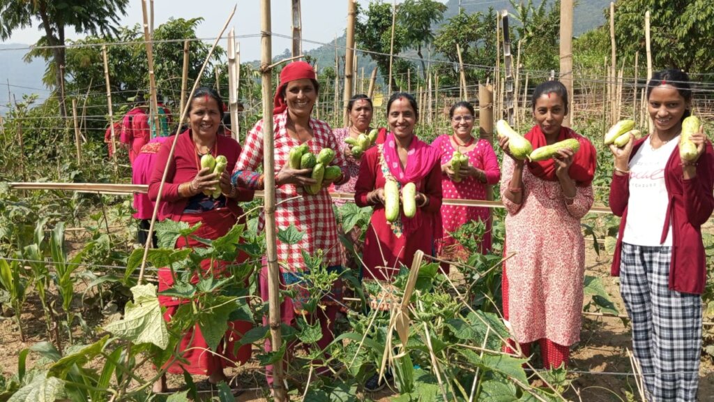 Minimize indoor smoke pollution for women health