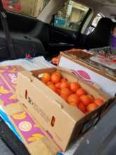 Tomatoes at the Corpus Christi Food Bank.