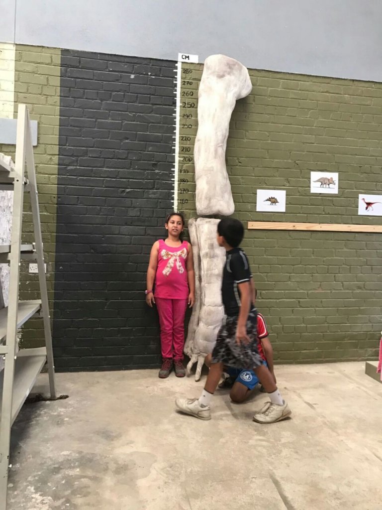 Discovereum: Zimbabwe's First Children's Museum