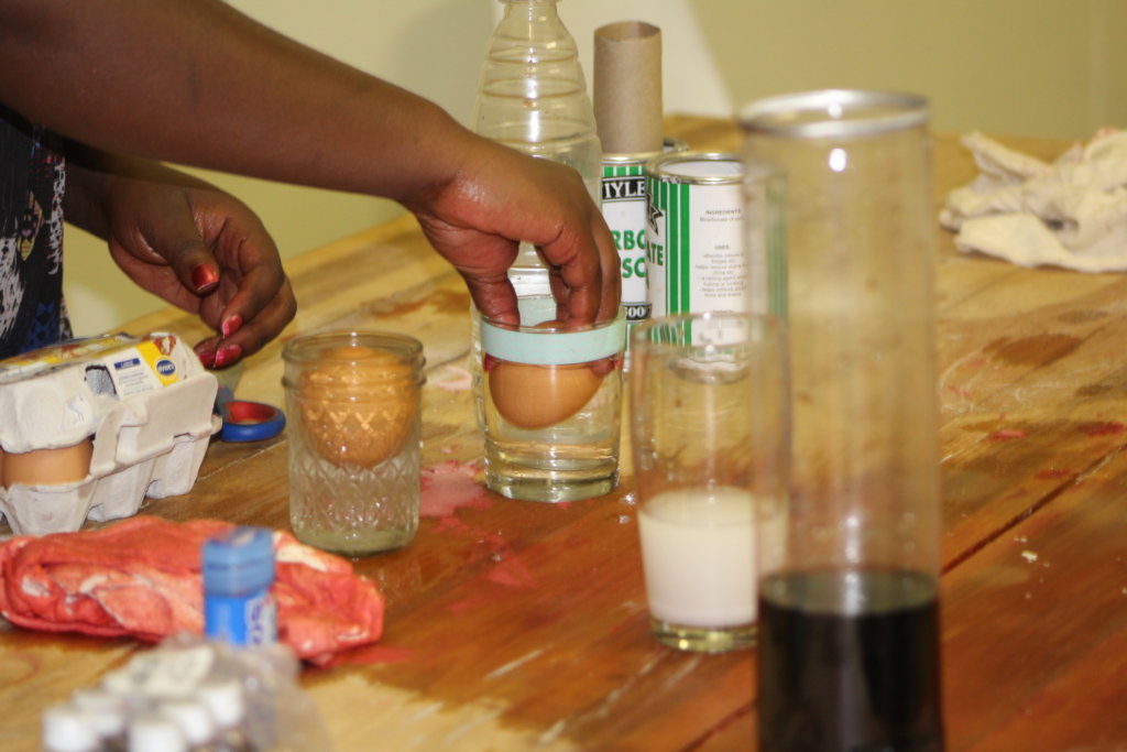 Discovereum: Zimbabwe's First Children's Museum